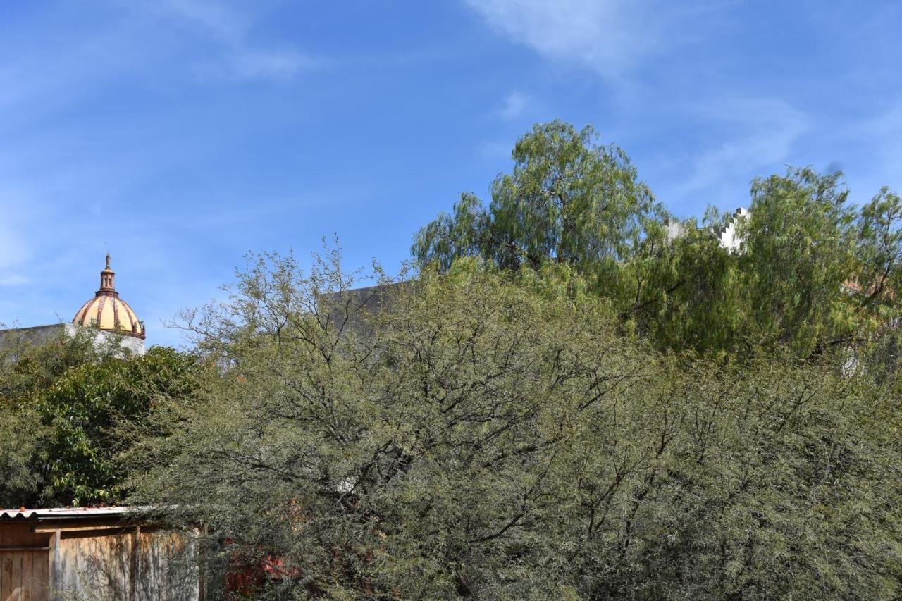 圣米格尔－德阿连德Casa Maria Elena住宿加早餐旅馆 外观 照片