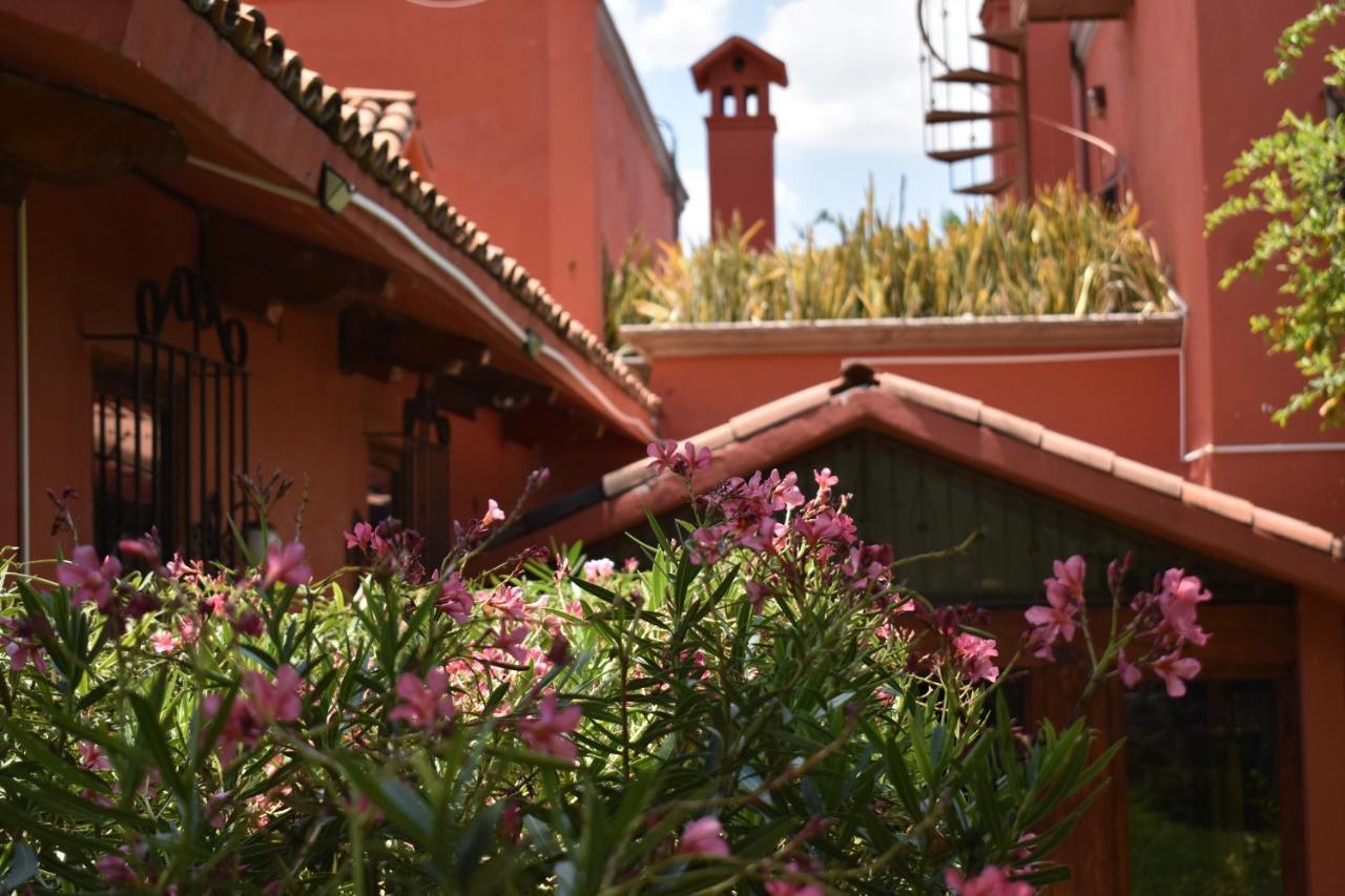 圣米格尔－德阿连德Casa Maria Elena住宿加早餐旅馆 外观 照片